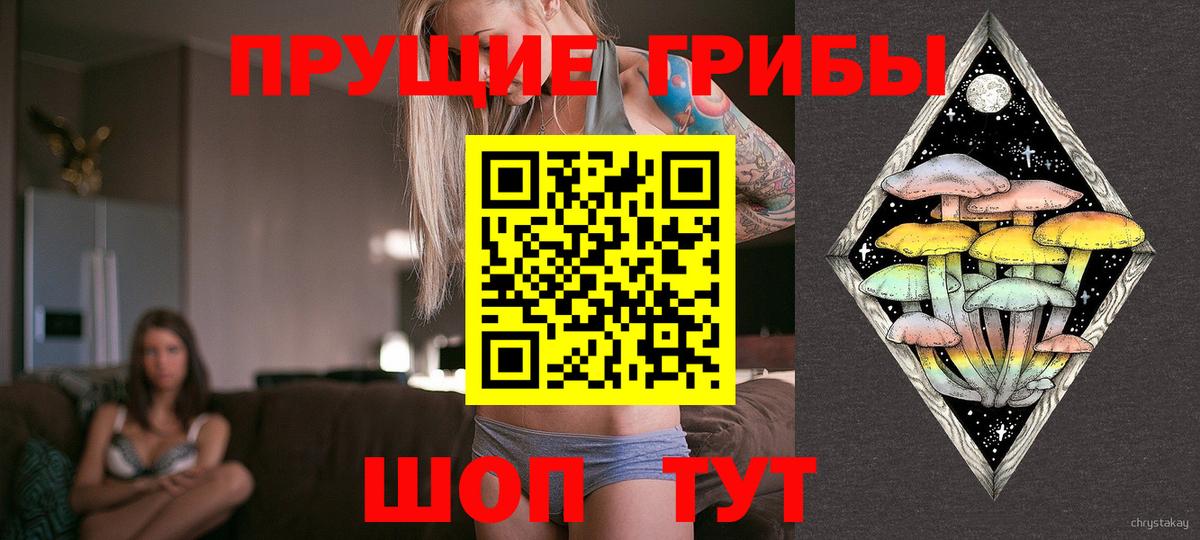 Галлюциногенные грибы Cubensis Северобайкальск